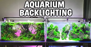 88K views · 65 reactions | My take on aquarium backlighting. Simple project that can add a new flavor to your aquarium! Heres what you need: Aquarium LED Backlighting Part List ▼ LED strip ► https://amzn.to/2L4zAdK USB Wall Adapters ► https://amzn.to/2UnI4Rb Styrofoam Clamp | Aquapros | Facebook