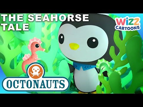 ​‪@Octonauts‬ - The Seahorse Tale 🍀📕 | Series 1 | Full Episode 31 | ‪@WizzCartoons‬