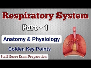Respiratory System || Part - 1 || Anatomy Physiology Golden Key Points