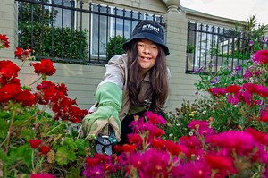 Supported independent living vacancies | SIL properties