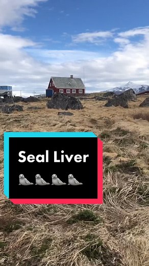 Greenlandic Inuit Food Experience: Seal Butchering and Traditional Eating