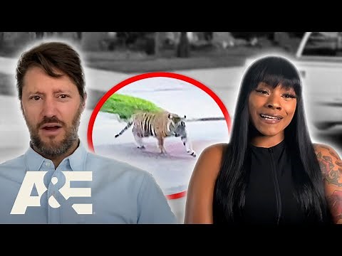 Neighborhood Wars: Best of Season 1 - MEGA-COMPILATION | A&E