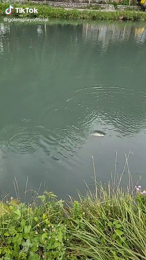 Discover Global Trends on YouTube