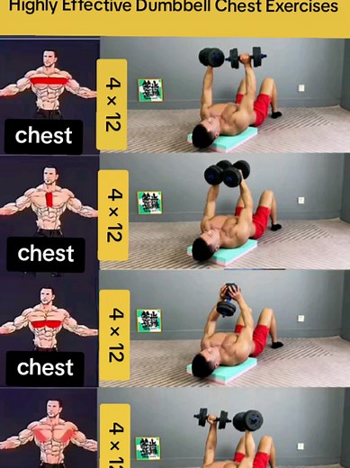 💯💪Highly Effective Dumbbell Chest Exercises #fitness #chest #muscles #dumbbells #gymmotivation