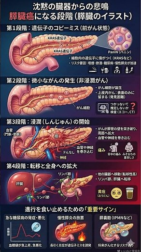 【膵臓がんの真実】沈黙の臓器が壊れる4つの段階｜背中の痛みや急な血糖値上昇はSOS？手遅れになる前に知るべき「重要サイン」