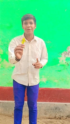 valentine Le Gaya Tel Lene 1 April Ko hoga propose 😆😄🤣😁😀😀😀😀😁🤣😄😆😆😄🤣😁😂😂😀😁🤣