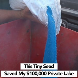 2.6M views · 2.8K reactions | This Tiny Seed Saved My $100,000 Private Lake! | Lunkerstv | Facebook