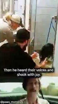 Dog Finally Finds His Family Again… And Their Reunion Will Make You Cry 🥹❤️‍🩹 #shorts #dog #viral