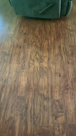 Sleepy kitty! 😴🐱 #foryoupage #kittiesoftiktok #caseygirl #sleepycat