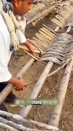 The Art of Transforming Tree Branches into Durable Tools!