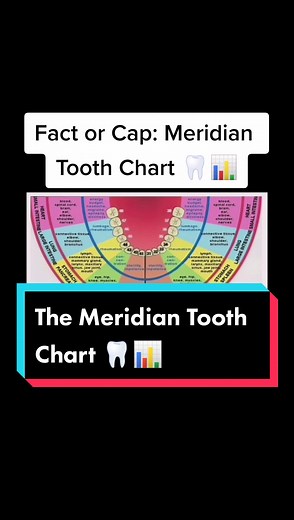 Understanding the Meridian Tooth Chart