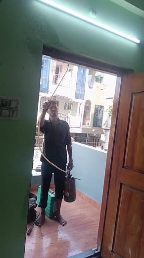 What Actually Happens During a Pest Control Service? Full Walkthroug