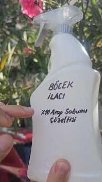 Bitki böcekleri nasıl yok edilir? Bitki biti nasıl yok edilir? #bitki #çiçek #plants #flowers
