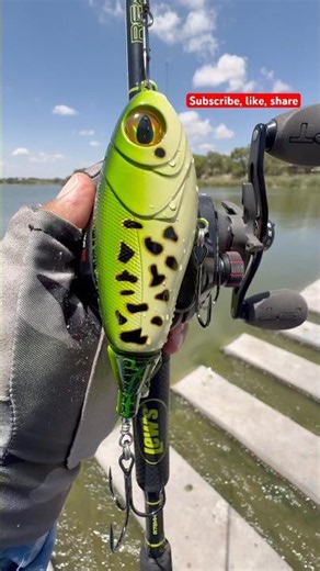 Casting a Baitcaster with a chaos shad#fishing#youtubeshorts#viralvideo#shortvideo#viral#shorts#bass