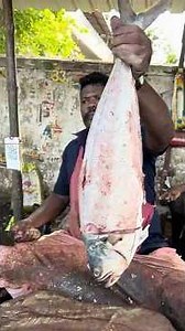 SPEED SELVAM FISH CUTTING SKILLS🦈🔥 #kasimedu #fishcutting #skills #seafood #vmfishcutting