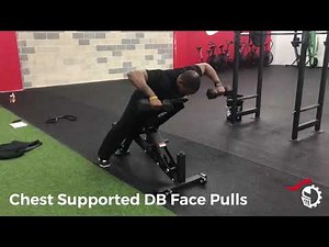 Chest Supported DB Face Pull