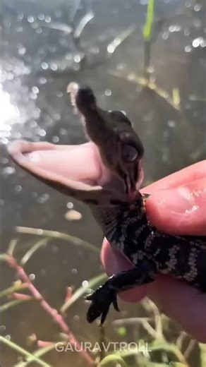 Stunning Animal Growth transformation! 💀