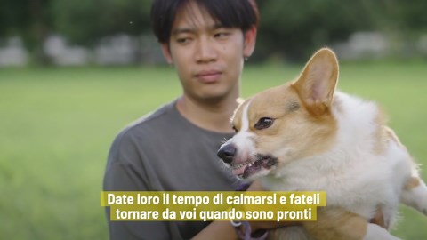Come capire se il vostro cane è segretamente arrabbiato con voi