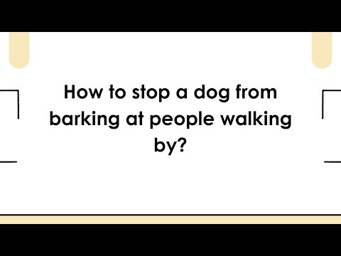 How to stop a dog from barking at people walking by?