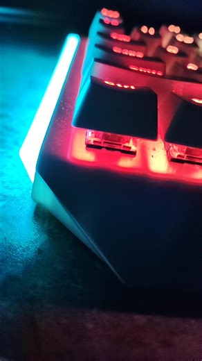 阿呆說這個鍵盤很漂亮所以我買了