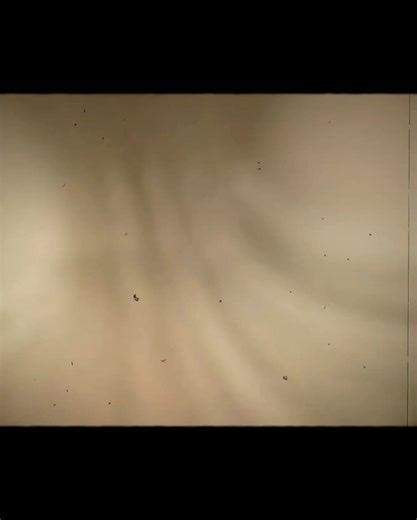 The Now India on Instagram: "Music luminary Karan Aujla is expanding his P-POP CULTURE India Tour 2026 on the occasion of his birthday to Ahmedabad, Kolkata, Jaipur, Lucknow, and Ludhiana, taking Punjabi music mainstream in both Tier 1 and Tier 2 cities. Fans can now experience high-energy performances, immersive visuals, celebrity cameos and world-class production across 12 cities nationwide. With tickets selling over 1,00,000 in the first hour late last year within 24 hours of general sales op