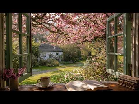 Peaceful Spring Day 🌸 A comfort playlist for quiet moments | Reading Focus Study Work