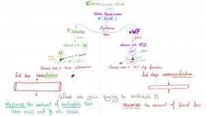 34 reactions | Vedolizumab | Inflammatory Bowel Disease | Crohn's Disease and Ulcerative Colitis | Pharmacology | Medicosis Perfectionalis | Facebook