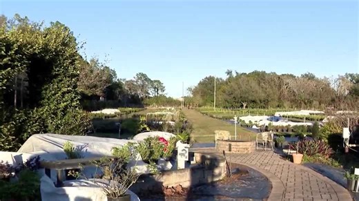 Lake County nurseries work to protect thousands of plants from frigid temperatures