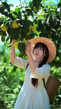 Beautiful Nature with Rural Life - Harvest grapes, plums, apples, peaches and other fruits