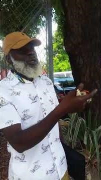 The Ahuuakhan @ COURT 3 🔥💀🔥 #jamaicanpolice #civillibertiymovement