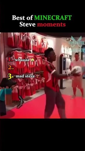 Best of Minecraft Steve Moments! #ranking #funny #shorts v16