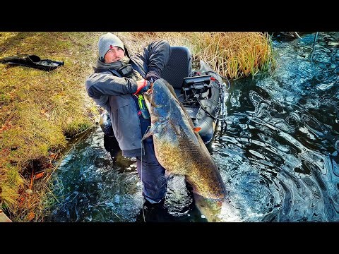 REKORD! Lokaler FISCHER muss mir HELFEN 😱