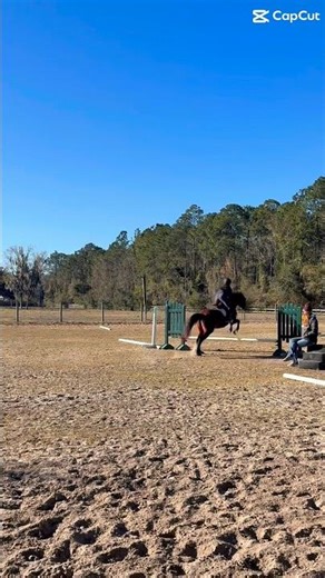Baby jumps on da baby pony #hunterjumper #equestrian #fypシ #pony