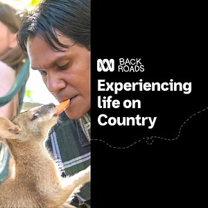 164K views · 209 reactions | Tonight, Back Roads guest presenter...