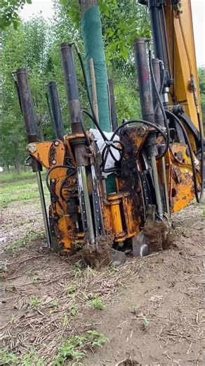 The process of digging a tree with a circular shovel