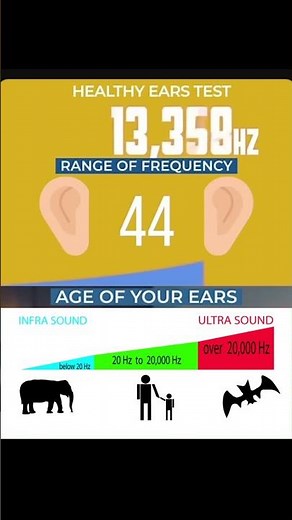 Human hearing range