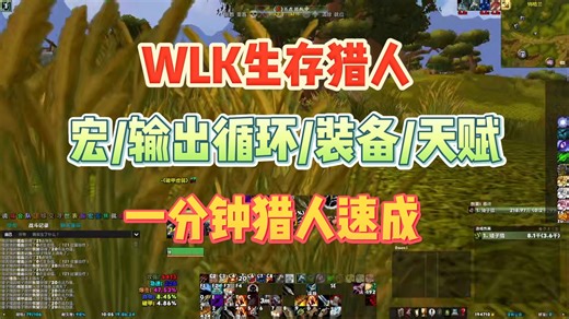 魔兽WLK猎人，一分钟速成（宏/天赋/宠物/输出循环）