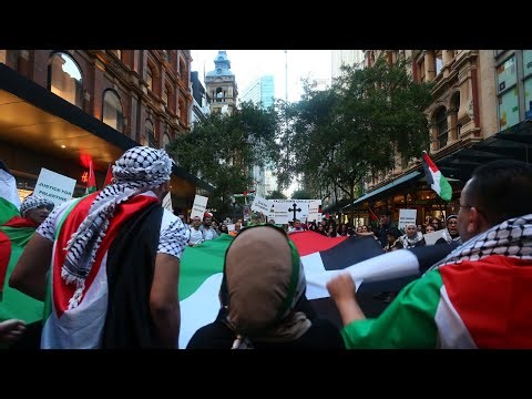 ‘Elitists’ controlling the pro-Palestine narrative