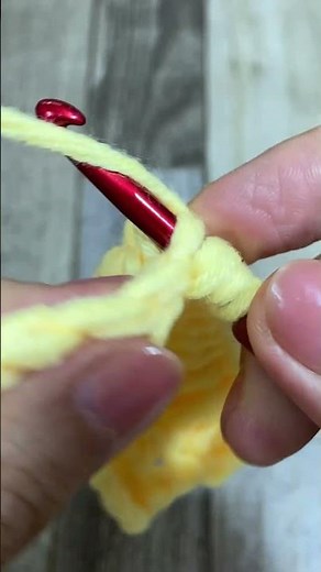 THE ONE-DAY CROCHET PROJECT EVERY BEGINNER SHOULD TRY #shorts #crochet #crochetpattern