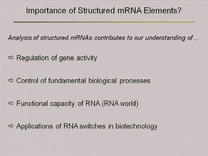 Non-coding RNAs - Andreas Wachter, University of Tuebingen