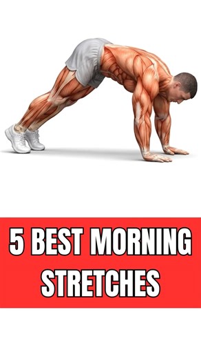 Best 5 Stretches You Need To Fix 95% of Your Pains #stretching