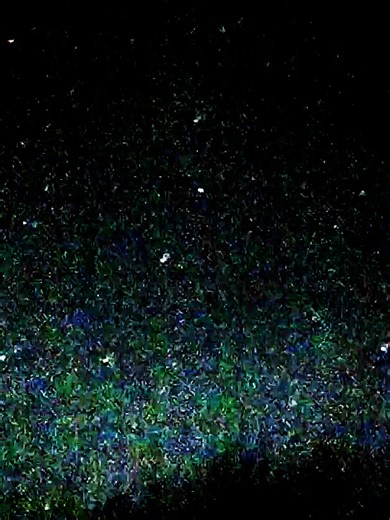 I've been playing with ffmpeg 🤣 THIS IS NOT AI..... I took my footage from Dec. 26th, its on my profile, and enhanced it using ffmpeg, like I have in recent videos. I then used a feature of the software to add trails to the moving objects. Its also sped up to 49x the original speed. That's so awesome.