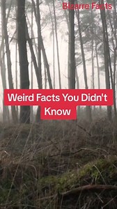 21K views · 59K reactions | Weird Facts You Didn't Know Storytime | #creepyfacts #storytime #scarystory #scaryfacts #weirdfacts #bizarrefacts #MindBlownFacts #DidYouKnow #dailyfacts #Facts #AmazingFacts #reels #foryou #fyp #viralreels #facebookreels #reelsinstagram #reels | Bizarre Facts | Facebook