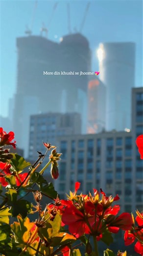 Saiyaan 💖 | Kailash Kher | #lyricsvideo #love #ytshorts #youtubeshorts #trendingsong #hindisong