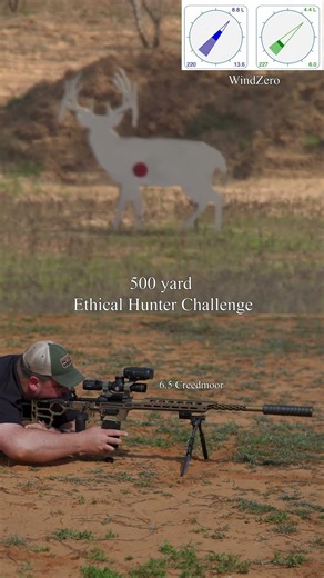 Coyote rifle deer hunting. 500 yards.