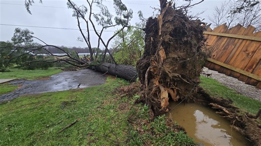 NWS confirms Wayne County tornado
