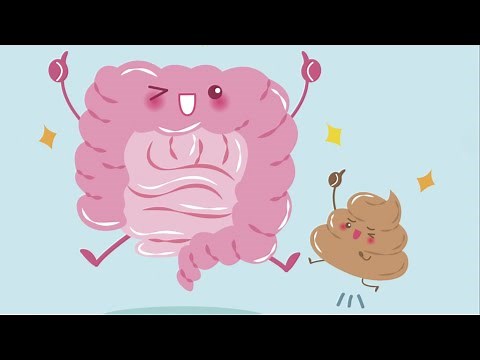 How Much Poop Can The Human Body Hold?
