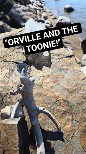 I Went Down to Check Orville #shorts #spring #story