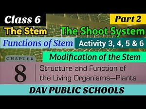 DAV class 6 Science chapter 8 Structure and Functions of the Living Organisms Plants
