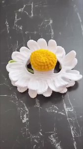 Daisy Flower Cat Hat Crochet Pattern: Beginner-friendly (PDF Pattern) - Etsy Canada